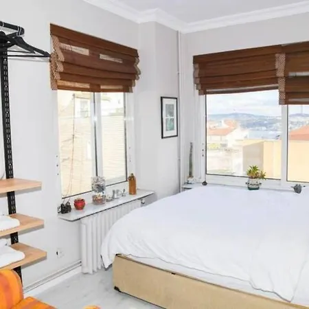 Spectacular Bosphorus View, Private Rooftop Terrace 6br, 2ba *