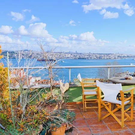 Lejlighed Spectacular Bosphorus View, Private Rooftop Terrace 6br, 2ba Istanbul