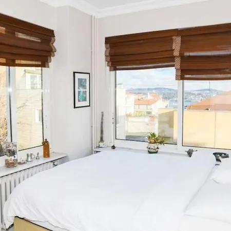 Spectacular Bosphorus View, Private Rooftop Terrace 6br, 2ba *